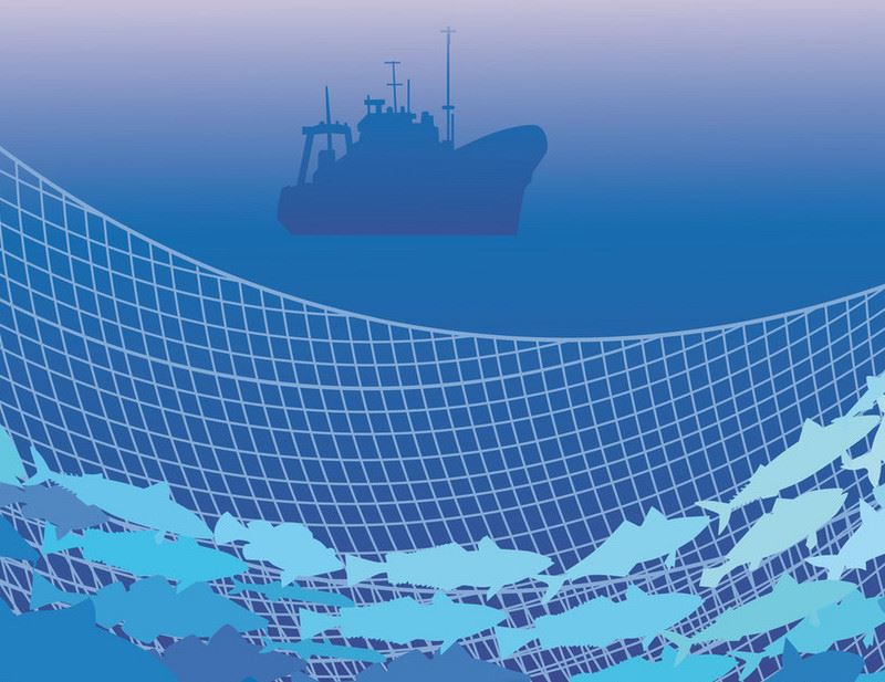 Trawling
