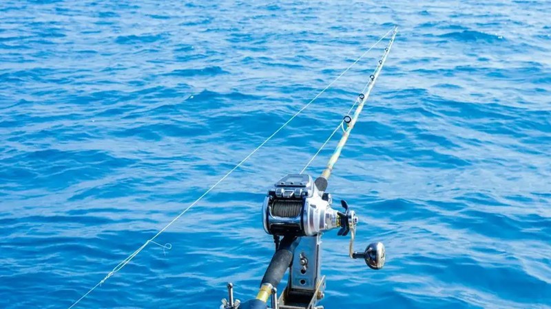 sea fishing line